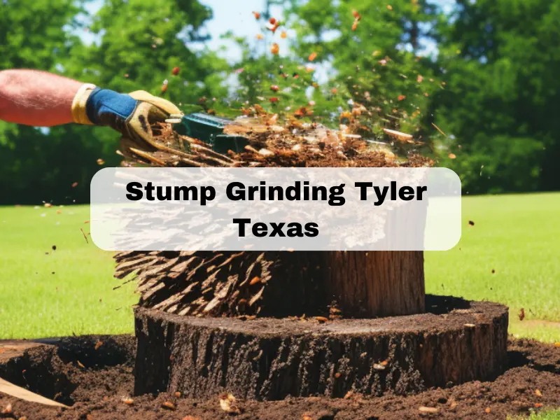 Stump Grinding Tyler Texas