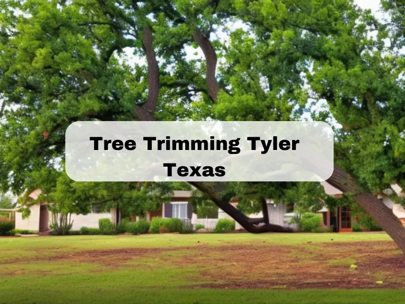 Tree Trimming Tyler Texas