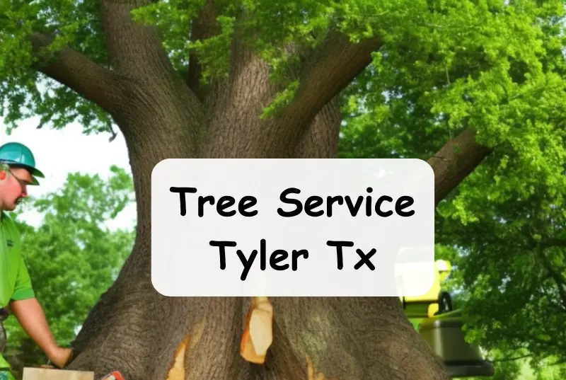 tree service tyler tx
