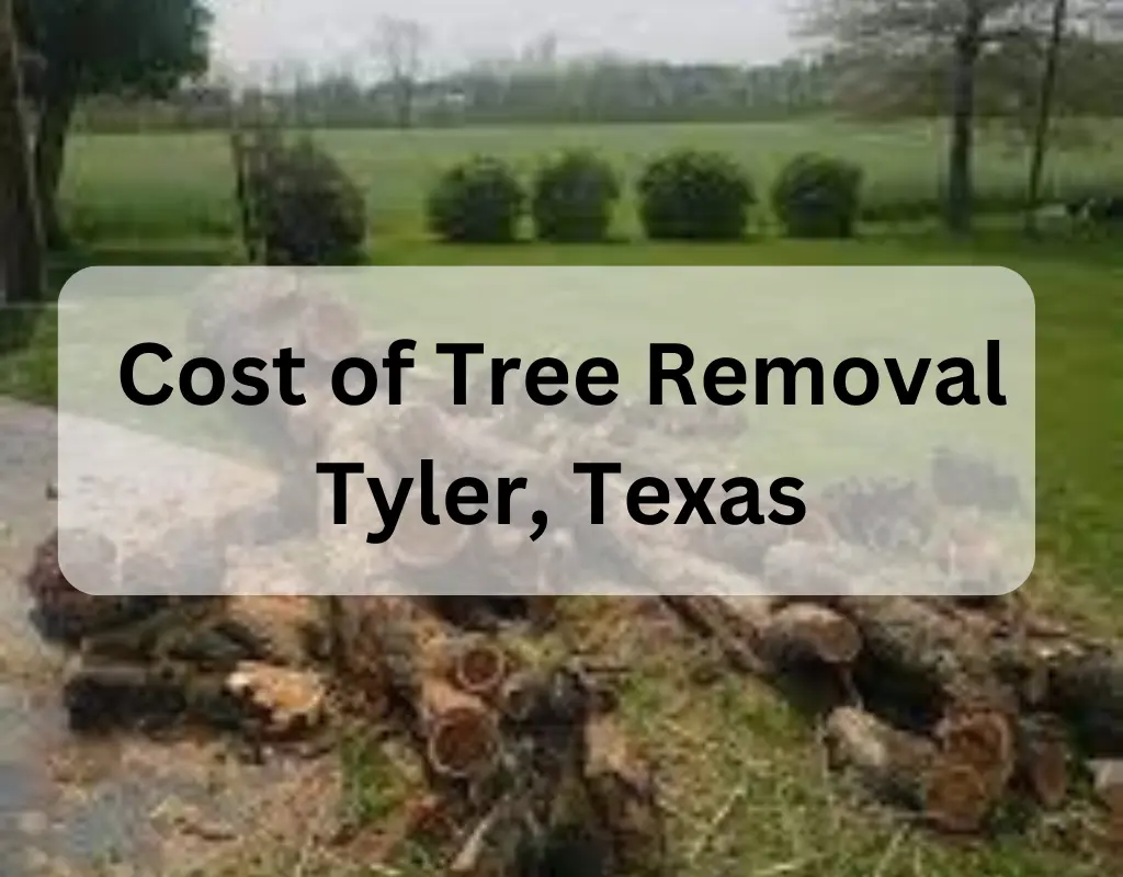 Cost of Tree Removal Tyler Texas