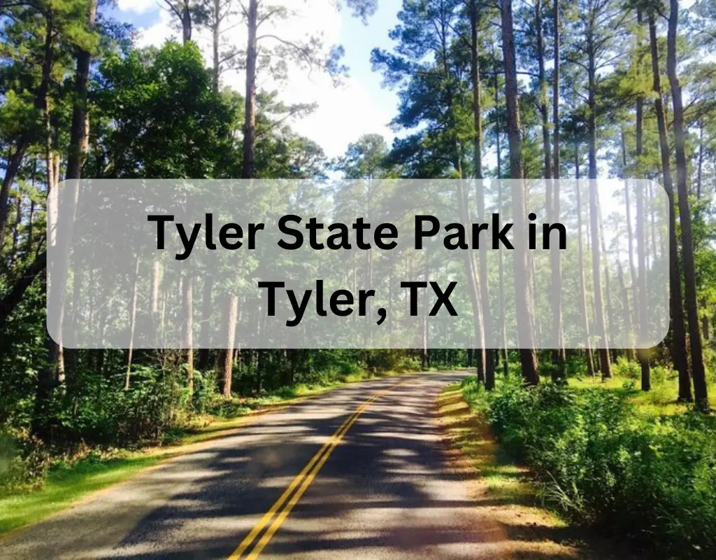 Tyler State Park in Tyler TX